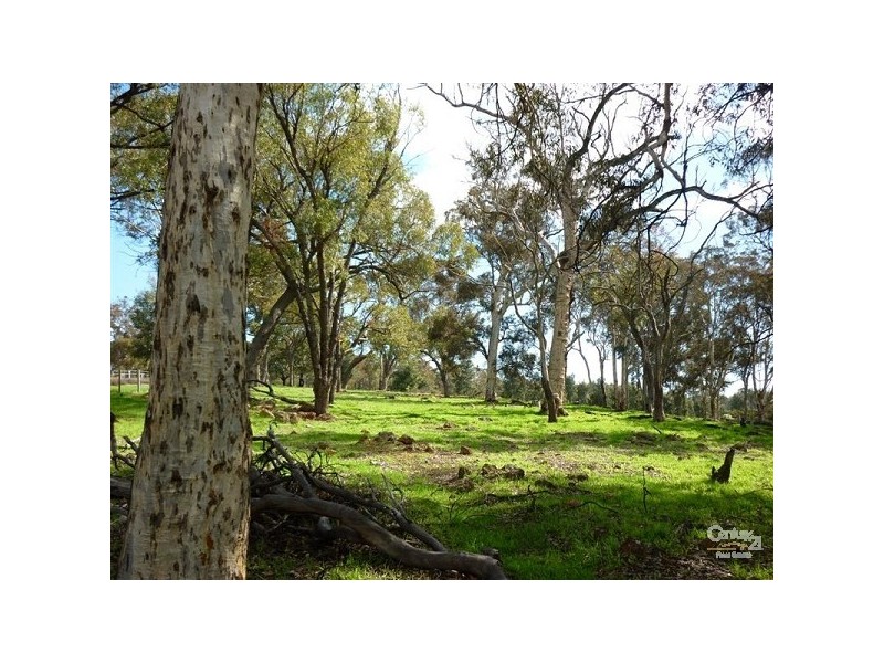 152 Dexter Chase, Lower Chittering WA 6084