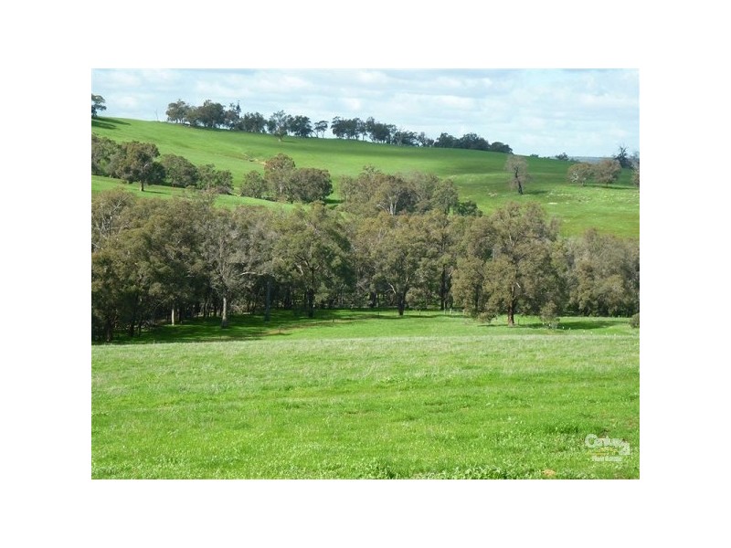 152 Dexter Chase, Lower Chittering WA 6084