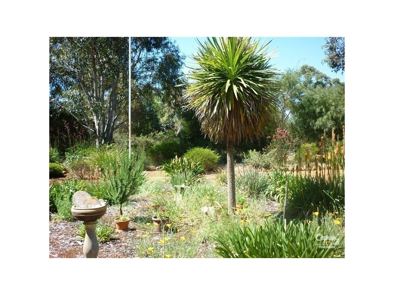 192 Archibald Street, Muchea WA 6501