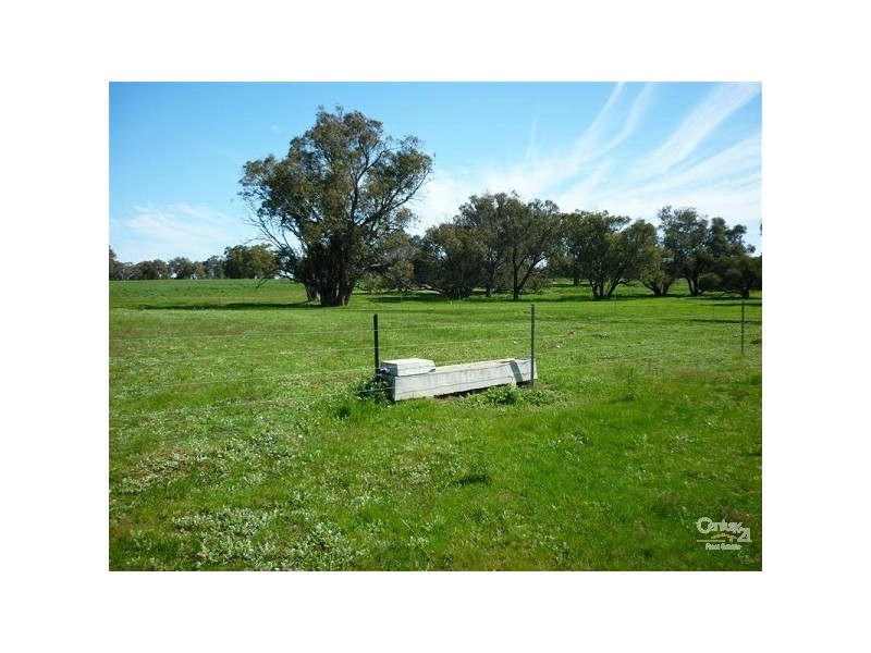 12 Wire Road, Gingin WA 6503