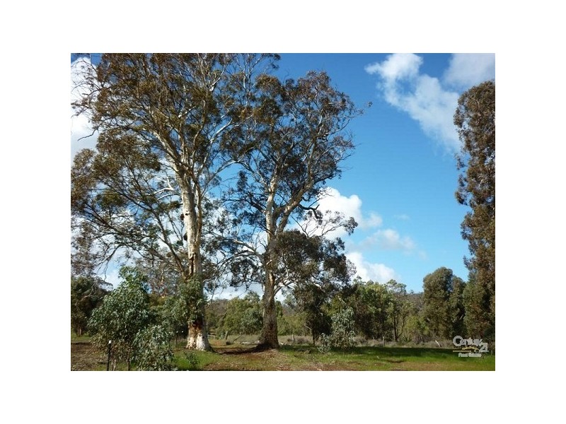 184 Wisteria Way, Chittering WA 6084