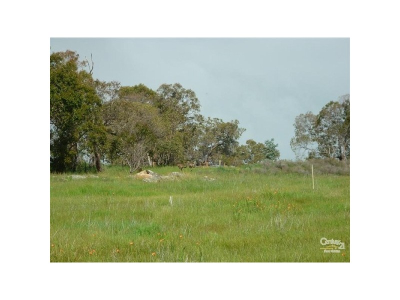 155 Alawoona Circle, Bullsbrook WA 6084