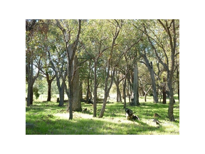 183 Ayrshire Loop, Lower Chittering WA 6084