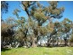 183 Ayrshire Loop, Lower Chittering WA 6084