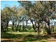 183 Ayrshire Loop, Lower Chittering WA 6084
