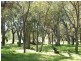 183 Ayrshire Loop, Lower Chittering WA 6084