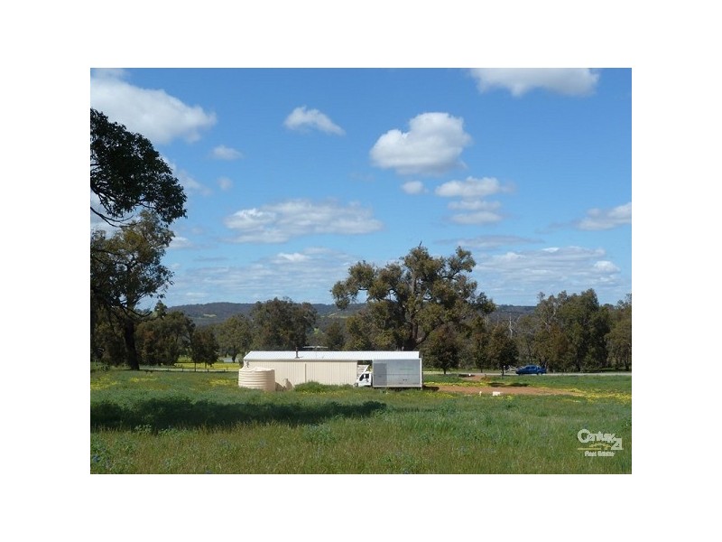 15 Maine Anjou Drive, Lower Chittering WA 6084