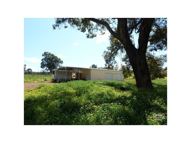15 Maine Anjou Drive, Lower Chittering WA 6084