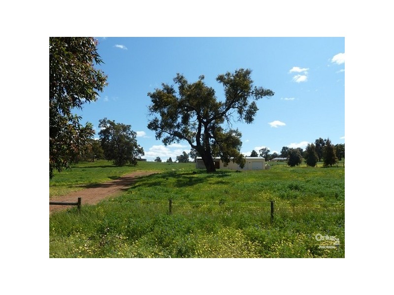 15 Maine Anjou Drive, Lower Chittering WA 6084