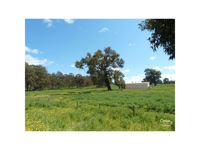 15 Maine Anjou Drive, Lower Chittering WA 6084