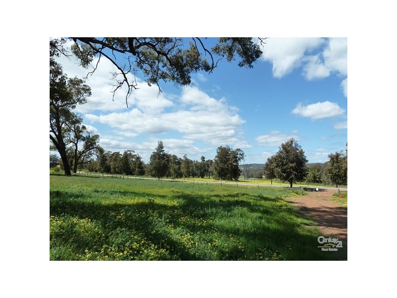 15 Maine Anjou Drive, Lower Chittering WA 6084