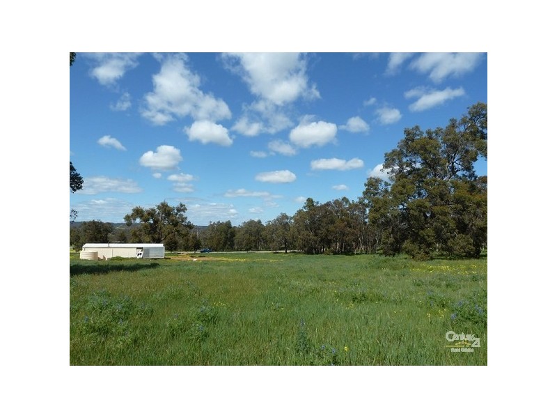 15 Maine Anjou Drive, Lower Chittering WA 6084