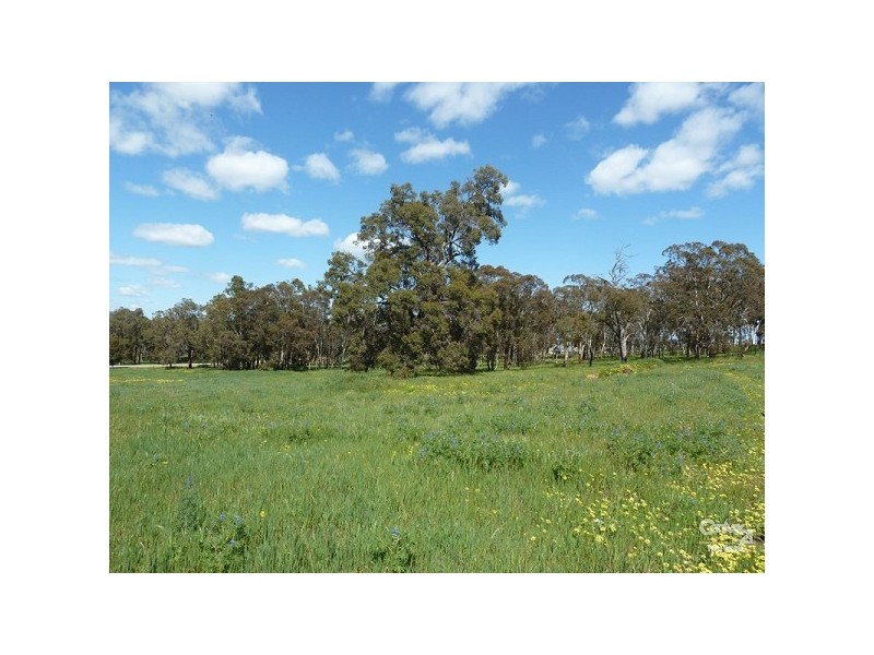 15 Maine Anjou Drive, Lower Chittering WA 6084