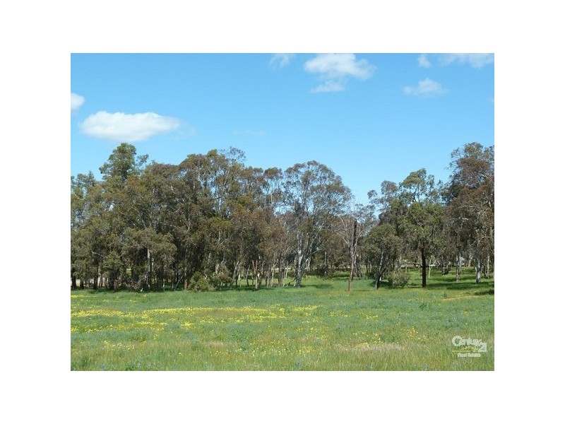 15 Maine Anjou Drive, Lower Chittering WA 6084