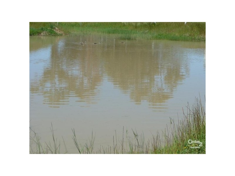 155 Timaru Road, Muchea WA 6501