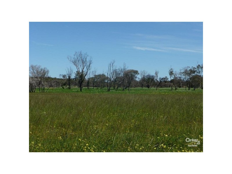 155 Timaru Road, Muchea WA 6501