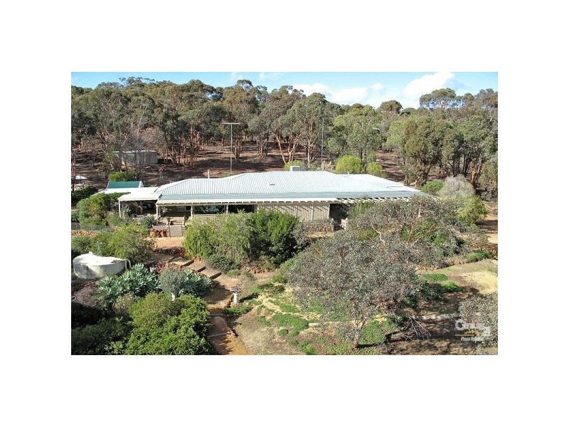 11 Ridgetop Trail, Bullsbrook WA 6084