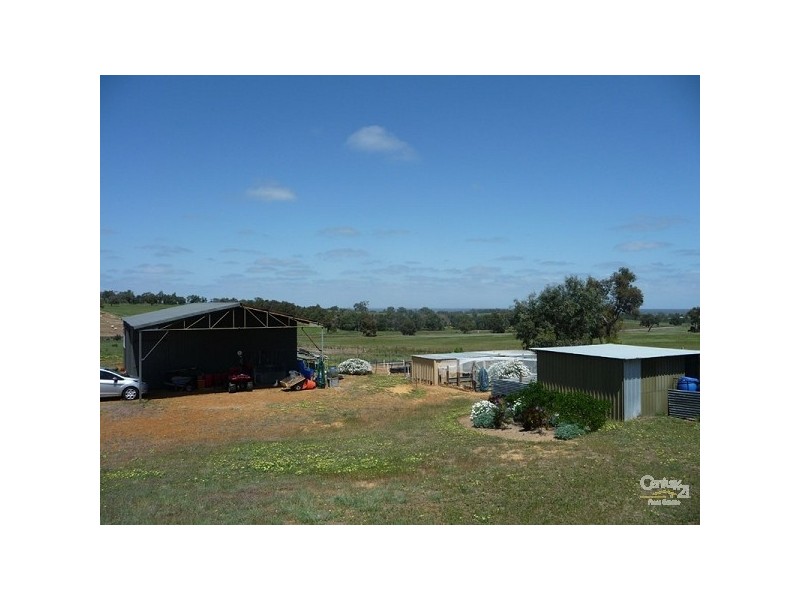 17 Chardonnay Drive, Lower Chittering WA 6084