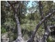 Lot 860 Ghost Gum Ridge, Chittering WA 6084