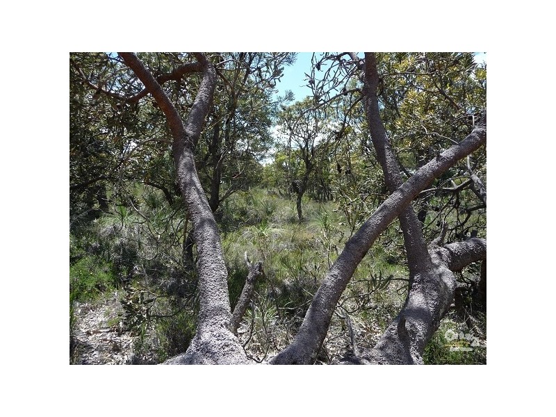 Lot 860 Ghost Gum Ridge, Chittering WA 6084