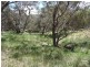 1884 Chittering Rd, Lower Chittering WA 6084
