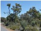 Lot 868 Sugar Gum Drive, Chittering WA 6084