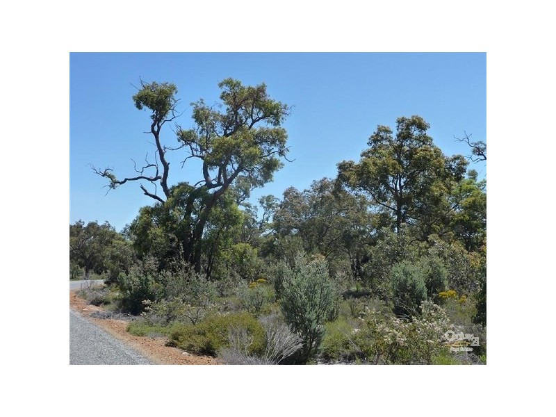 Lot 868 Sugar Gum Drive, Chittering WA 6084