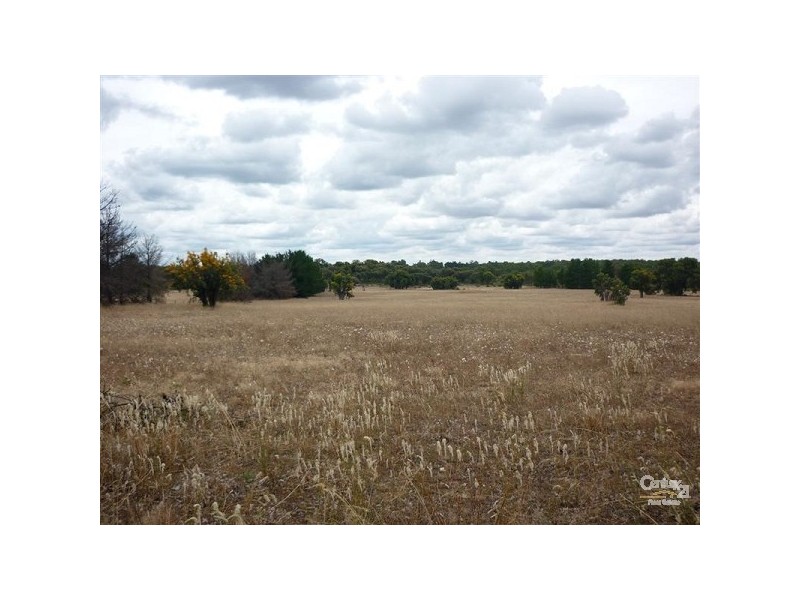 482 Mooliabeenee Road, Bindoon WA 6502