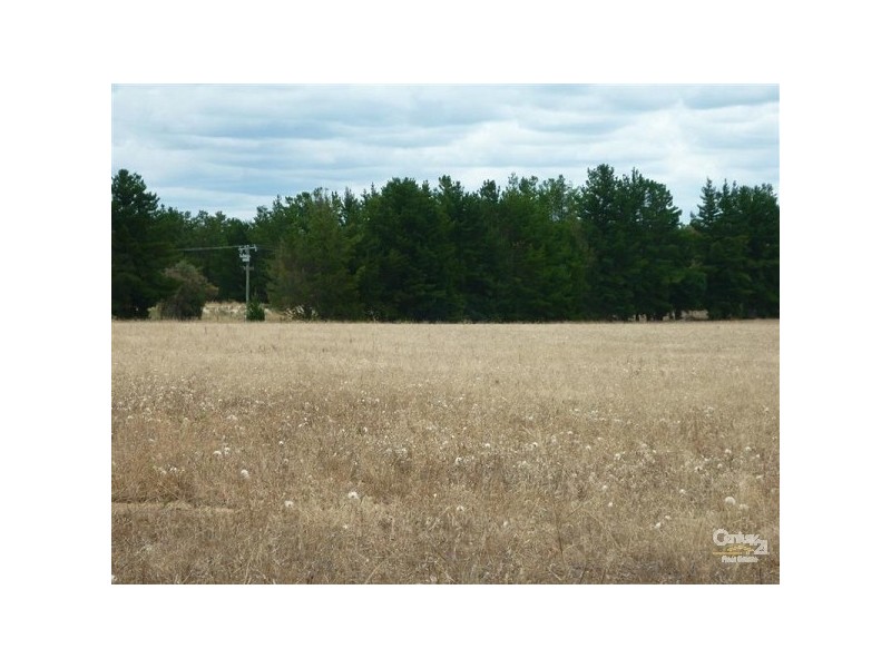 482 Mooliabeenee Road, Bindoon WA 6502