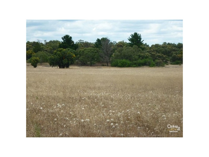 482 Mooliabeenee Road, Bindoon WA 6502