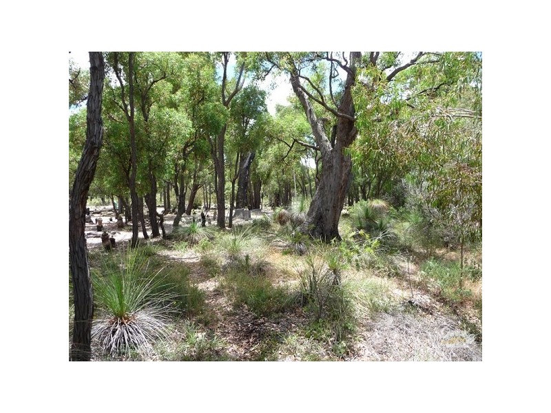 26 Chianina Place, Lower Chittering WA 6084