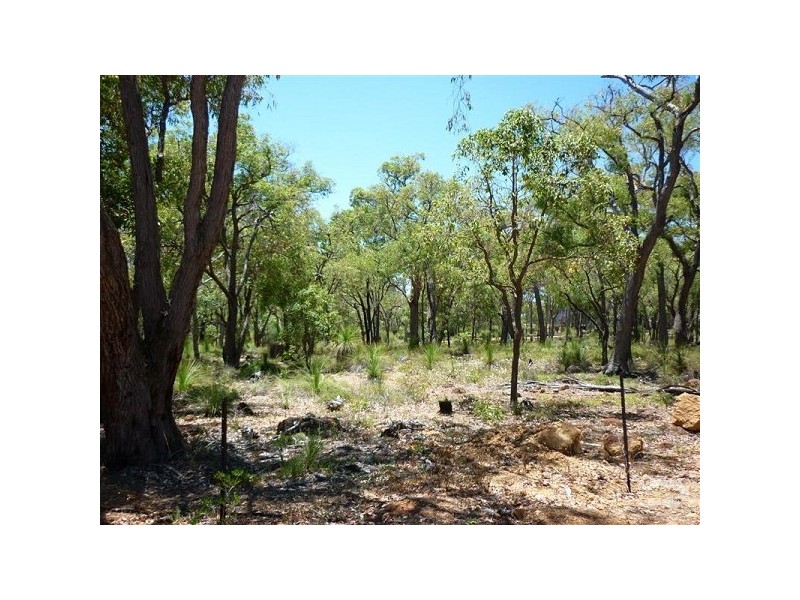 117 Leschenaultia Drive, Chittering WA 6084