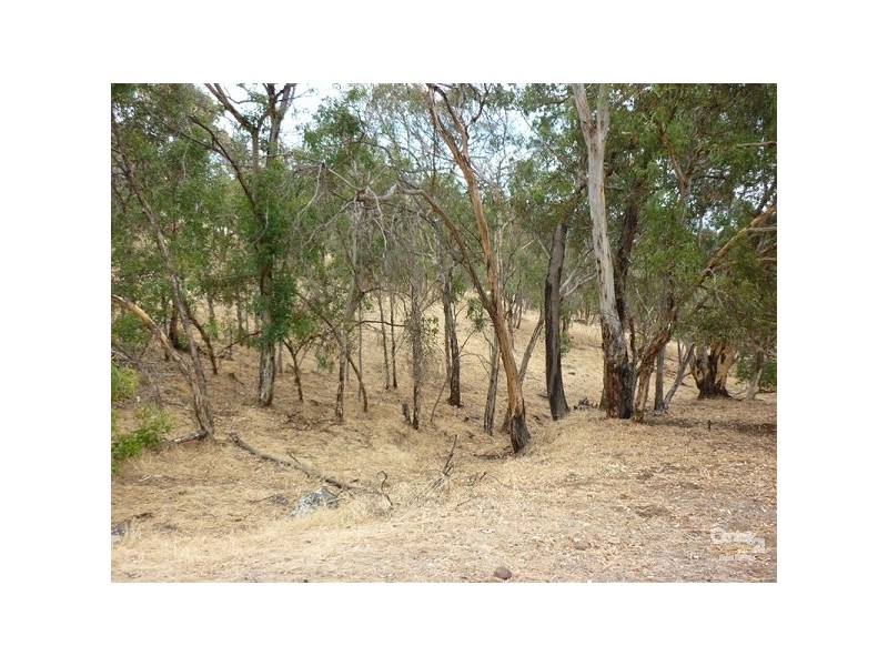 2 Wilson Road, Bullsbrook WA 6084