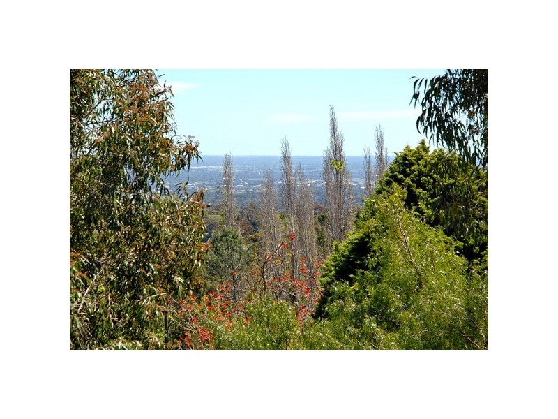 79 Kalamunda Road, Kalamunda WA 6076