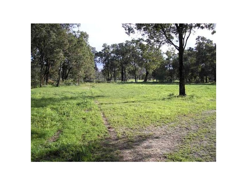 Wattle Grove WA 6107