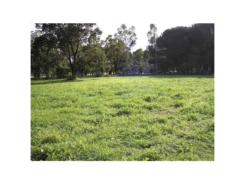 Wattle Grove WA 6107