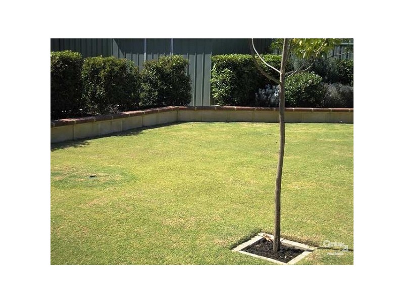 16 Sheriff Circuit, Wattle Grove WA 6107