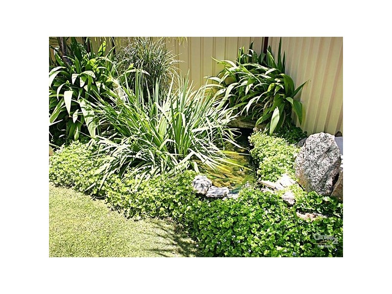 41 Plane Tree Green, Forrestfield WA 6058