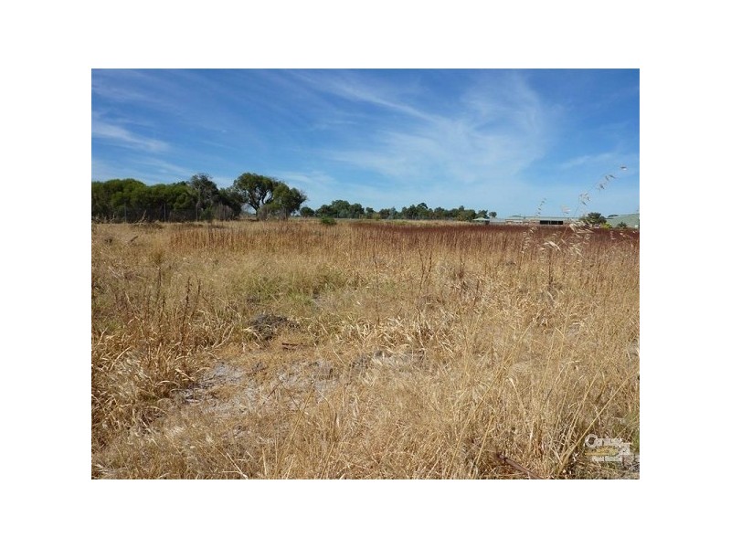 Wattle Grove WA 6107