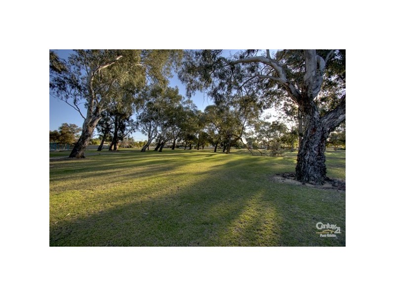 33 Akebia Way, Forrestfield WA 6058