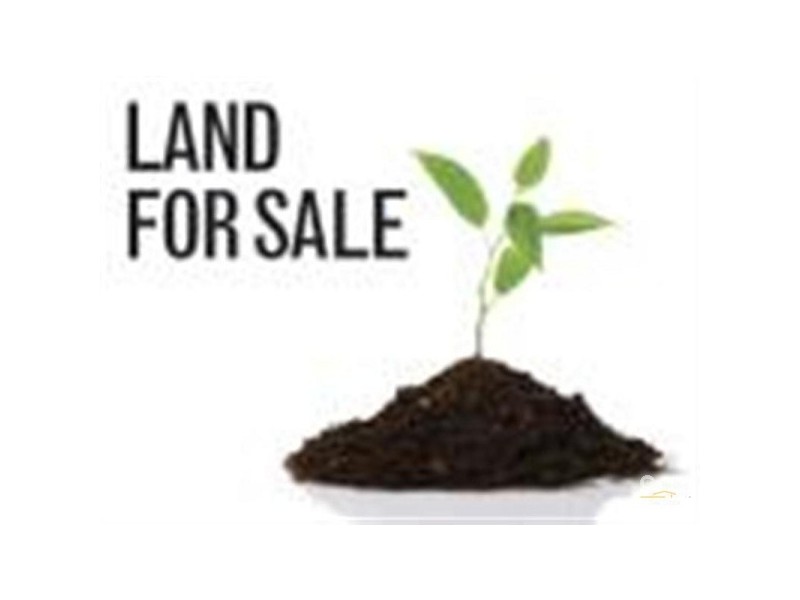 8 Belfry Way, Wattle Grove WA 6107