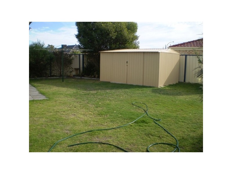 48 Daintree Loop, Bertram WA 6167