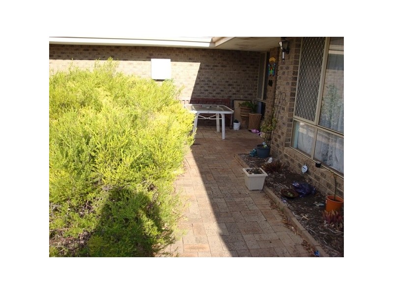 40 Linvile Avenue, Cooloongup WA 6168