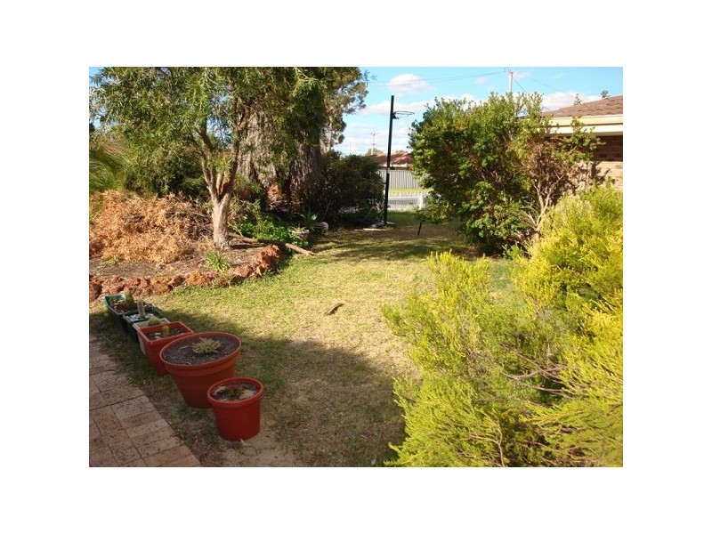 40 Linvile Avenue, Cooloongup WA 6168