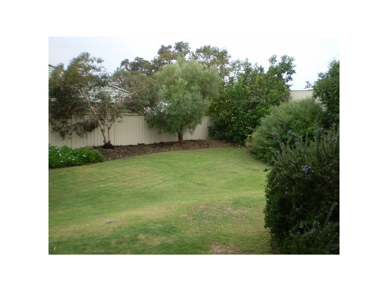 19 Trusty Parkway, Baldivis WA 6171