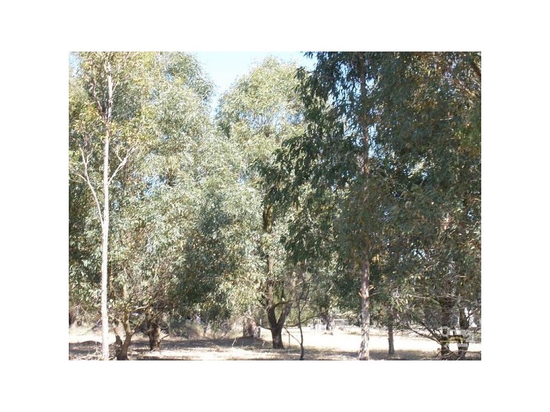 Wellard WA 6170