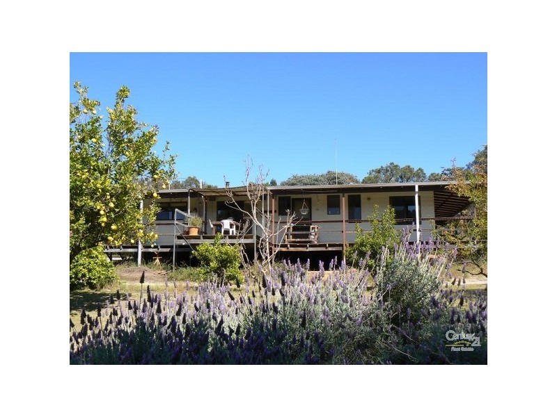 Lot 1/104 Mallee Drive, Karnup WA 6176