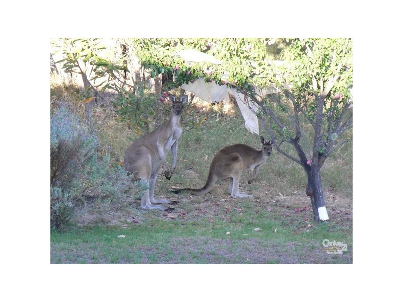 Lot 1/104 Mallee Drive, Karnup WA 6176