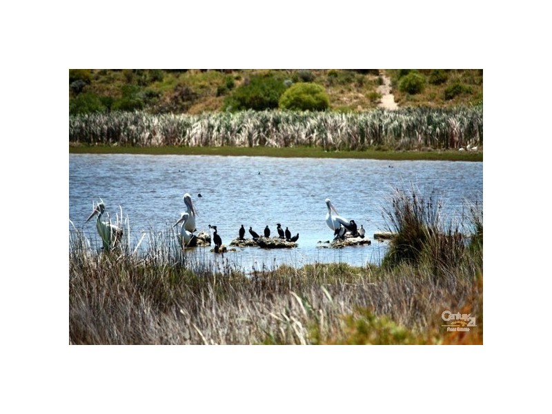 23 Vitesse Approach, Shoalwater WA 6169