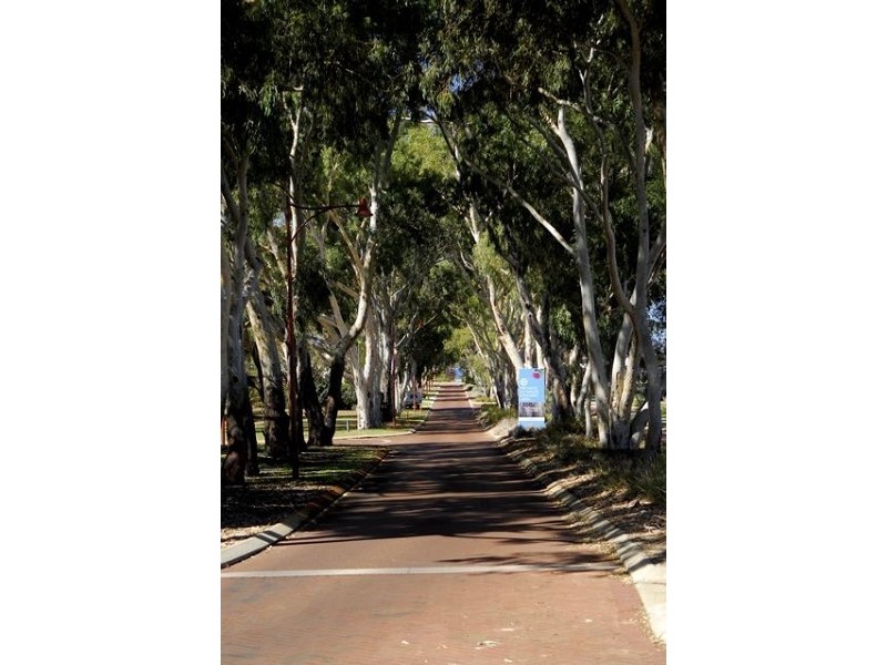 5 Winpara Way, Baldivis WA 6171